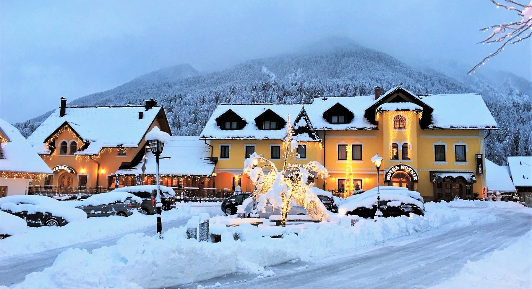 Villa Kranjska Gora